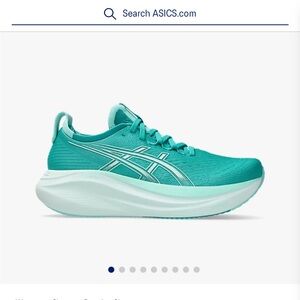 ASICS NWT Nimbus 27 Running Shoes